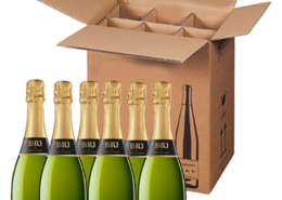 Cava Brut aus Barcelona